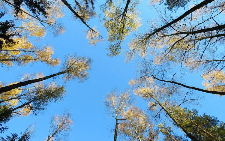 Corporate Responsibility